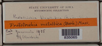 Image Associated With the Occurence